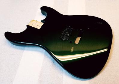 Midnight Envy Pearl Guitar Finish