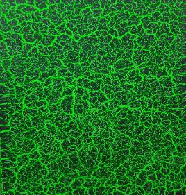 Neon Green Crackle
