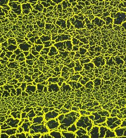 Neon Yellow Crackle